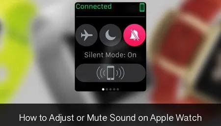 Hướng dẫn tắt âm thanh thông báo trên Apple Watch một cách nhanh chóng