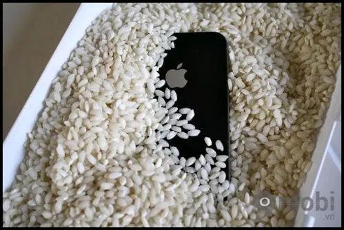 Cách xử lý khẩn cấp khi iPhone dính nước