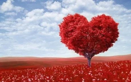 Hình nền tình yêu lãng mạn