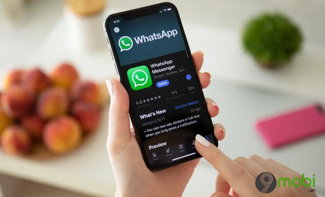 Facebook tạm hoãn tham vọng quảng cáo trên WhatsApp: Bước ngoặt bất ngờ