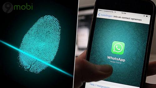 WhatsApp trên Android thử nghiệm bảo mật vân tay - Nâng cấp an toàn cho người dùng