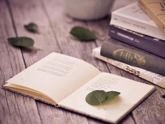 Những phương pháp học Văn hiệu quả dành cho học sinh lớp 11, giúp cải thiện kỹ năng và nâng cao kết quả học tập.