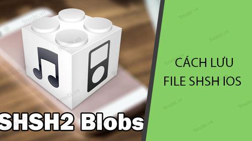 Hướng dẫn chi tiết cách lưu file SHSH để hạ cấp iOS trên iPhone