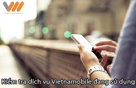 Hướng dẫn kiểm tra dịch vụ Vietnamobile mà bạn đang sử dụng, bao gồm các dịch vụ như Maxi Talk, Facebook SMS.