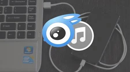 Khắc phục lỗi không thể sao chép nhạc vào iPhone bằng iTools