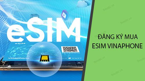 Hướng dẫn đăng ký và mua Esim Vinaphone