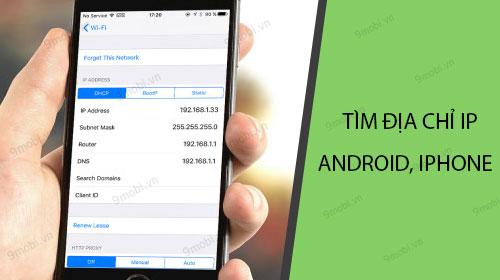 Hướng dẫn chi tiết cách xem địa chỉ IP trên điện thoại