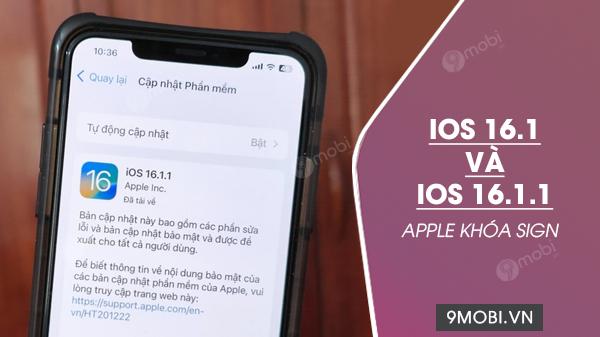 Apple chính thức đóng cửa bản sign iOS 16.1 và 16.1.1, dọn đường cho phiên bản iOS 16.2 sắp trình làng