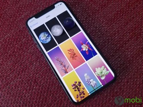 iOS 13 mang đến tính năng thông minh nhận diện thú cưng: chó và mèo