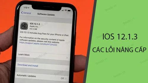 Những vấn đề gặp phải khi nâng cấp lên iOS 12.1.3.