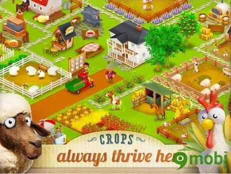 Hay Day - Trò chơi nông trại mới lạ và độc đáo cho Android, iOS
