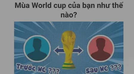 Hướng dẫn cách hủy quyền truy cập hình ảnh của ứng dụng Mùa World Cup trên điện thoại