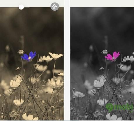 (Chương trình tặng ứng dụng miễn phí) Những ứng dụng bản quyền miễn phí cho iPhone, iPad ngày 26-9