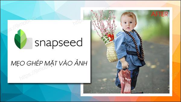 Hướng dẫn cách ghép mặt vào ảnh với ứng dụng Snapseed trên điện thoại, mang lại cho bạn những trải nghiệm chỉnh sửa ảnh thú vị và dễ dàng.