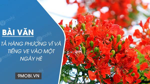 Hãy sáng tạo một bài văn miêu tả vẻ đẹp của hàng phượng vĩ và tiếng ve trong một ngày hè oi ả.