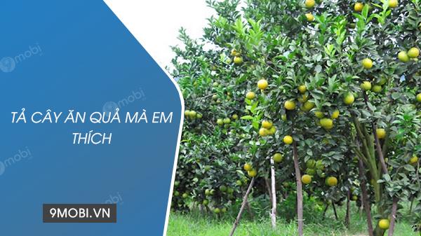 Miêu tả cây ăn quả yêu thích của em