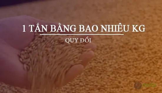 1 tấn tương đương bao nhiêu kilogram?