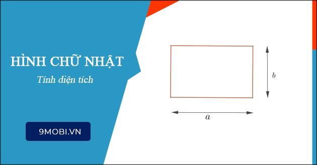 Cách tính diện tích hình chữ nhật đơn giản và dễ hiểu