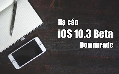Làm thế nào để hạ cấp iOS 10.3 beta trên iPhone, iPad?