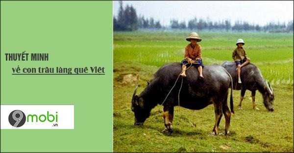 Khám phá hình ảnh con trâu trong đời sống làng quê Việt Nam