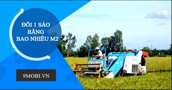 1 sào quy đổi thành bao nhiêu mét vuông?