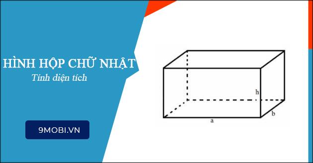 Phương Pháp Tính Diện Tích Hình Hộp Chữ Nhật