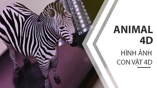 Khám phá hình ảnh động vật sống động trong không gian 4D qua ứng dụng Animal 4D+