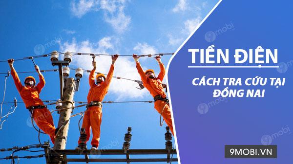 Hướng dẫn chi tiết cách kiểm tra hóa đơn điện Đồng Nai - Xem nhanh số tiền phải thanh toán và công nợ