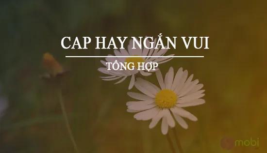 Những câu cap ngắn đầy sự vui nhộn