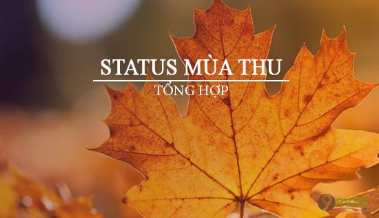 Mùa thu, khoảnh khắc giao mùa đầy mê hoặc và lắng đọng, là thời gian để tâm hồn chúng ta thả mình vào vẻ đẹp dịu dàng của thiên nhiên. Mỗi chiếc lá vàng rơi nhẹ nhàng, mỗi làn gió se lạnh đều mang theo một kỷ niệm khó quên.