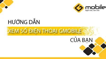 Khám phá cách kiểm tra số điện thoại Gmobile của bạn và xác định SĐT Beeline một cách nhanh chóng.