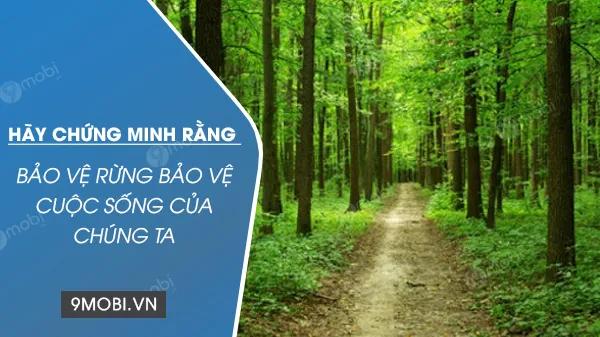 Chứng minh rằng bảo vệ rừng là cách chúng ta gìn giữ sự sống và tương lai của nhân loại