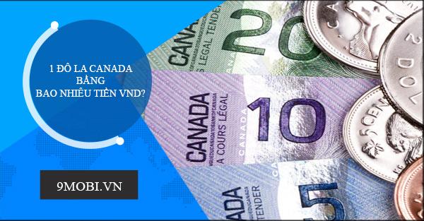 1 CAD tương đương bao nhiêu VND? Tỷ giá chuyển đổi mới nhất