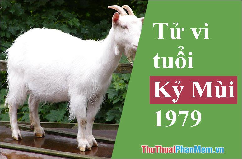 Người sinh năm 1979 thuộc mệnh gì? Tuổi con gì? Những màu sắc, tuổi tác và hướng nào phù hợp nhất?