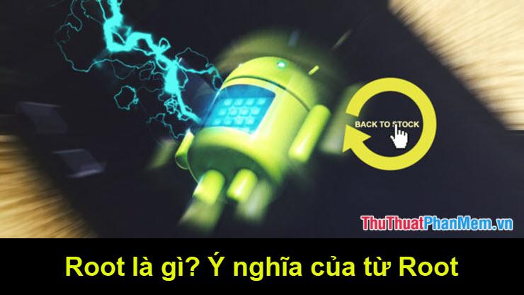 Root là gì? Khám phá ý nghĩa đằng sau thuật ngữ Root