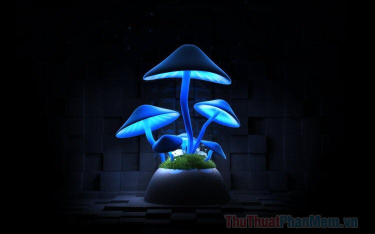 Hình ảnh cây nấm đẹp