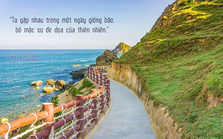 Những câu nói ý nghĩa về vẻ đẹp thiên nhiên