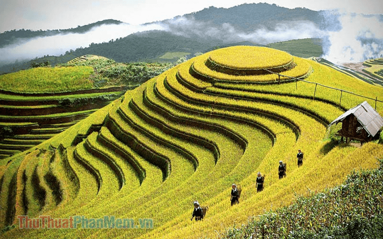 Vùng Tây Bắc bao gồm những tỉnh nào?