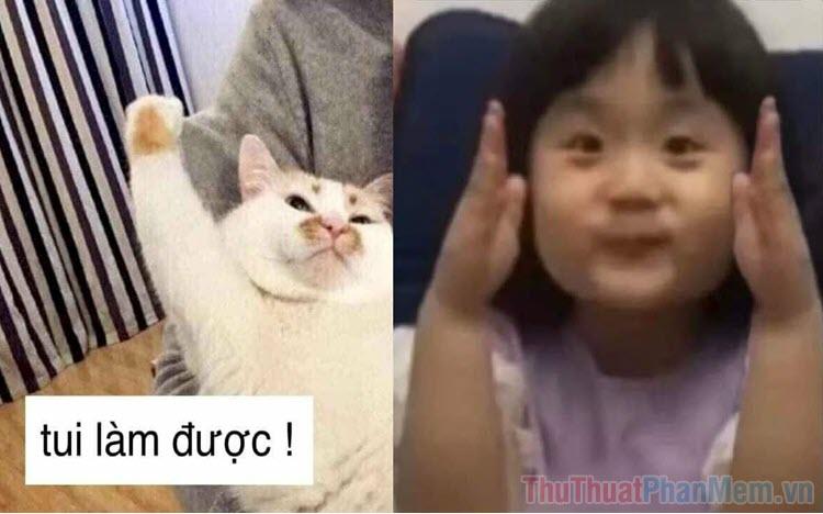 Tổng hợp những hình ảnh meme giơ tay đầy hài hước và sáng tạo