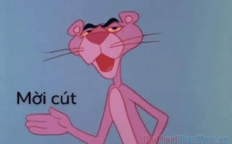 Tuyển tập những meme cút hài hước nhất