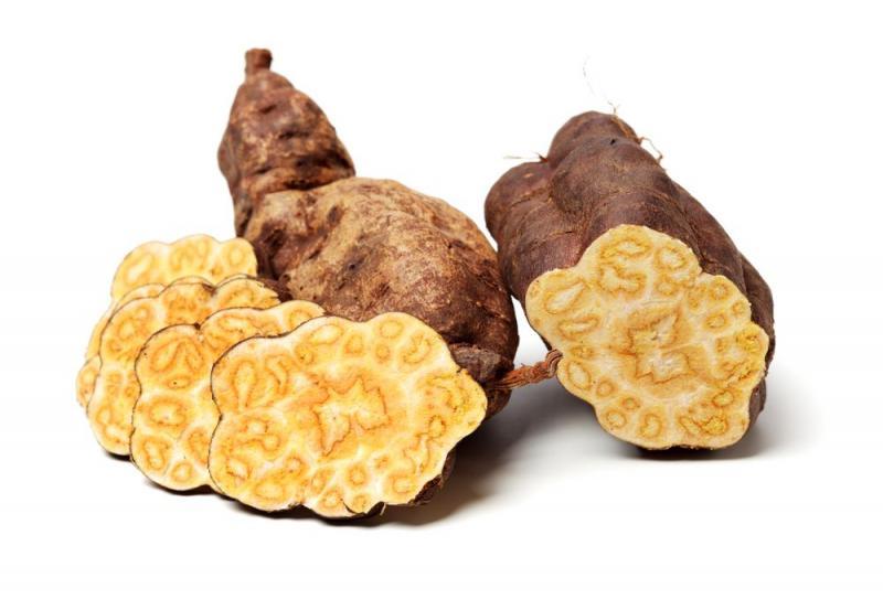 8 tác dụng vàng của hà thủ ô - Bí quyết sức khỏe từ thiên nhiên