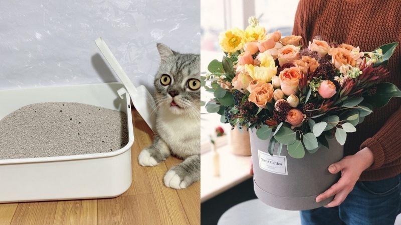 Chia sẻ phương pháp làm hoa khô từ cát mèo độc đáo, một kỹ thuật ít người biết nhưng rất hiệu quả.