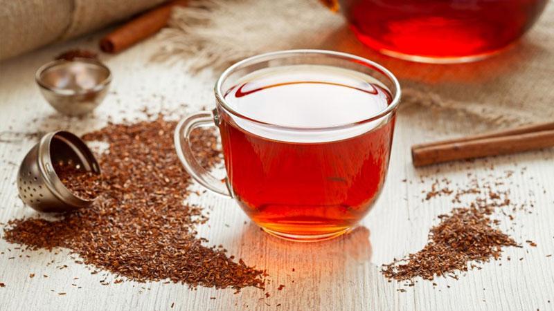 Trà rooibos là gì? Khám phá những lợi ích tuyệt vời của Hồng Trà Nam Phi