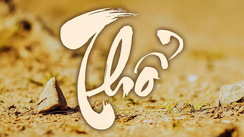 Bính Tuất 2006 thuộc mệnh gì và ai sẽ là người hợp nhất với tuổi này? Khám phá những thông tin thú vị trong bài viết dưới đây.