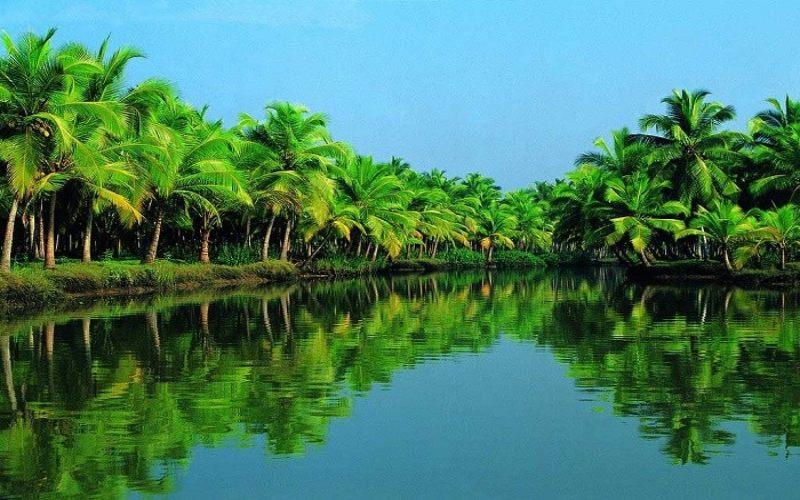 Top 5 điểm đến nổi bật tại Giồng Trôm (Bến Tre) không thể bỏ lỡ