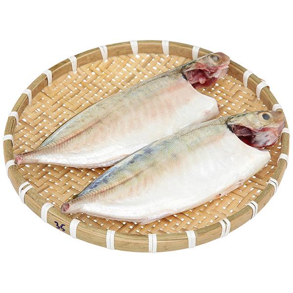 Danh sách các loại cá biển tươi ngon đang có mặt tại Tripi