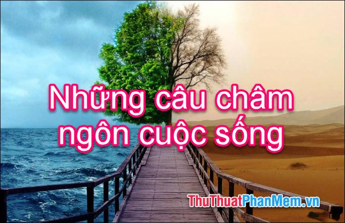 Những câu châm ngôn cuộc sống ý nghĩa và sâu sắc nhất