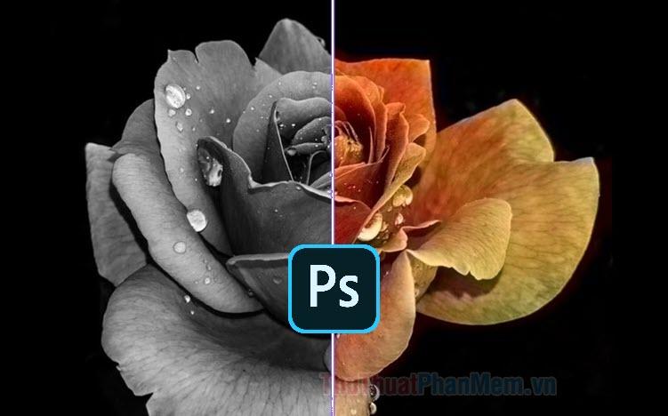 Hướng dẫn chuyển đổi ảnh màu thành đen trắng bằng Photoshop