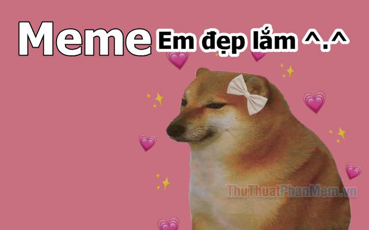 Em đẹp lắm meme - Bộ sưu tập meme 'em đẹp lắm' hài hước và độc đáo
