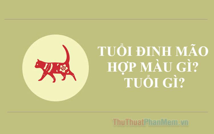 Tuổi Đinh Mão sinh vào năm nào? Màu sắc phù hợp và tuổi hợp là gì?